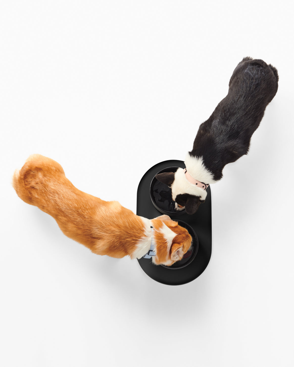 Non-Slip Silicone Dog Bowl Mat – Mess-Free Feeding
