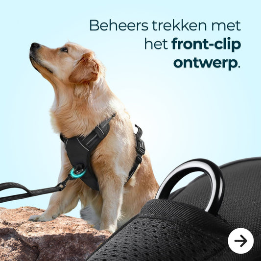 No-Pull Dog Harness – Comfort & Control on Every Walk
