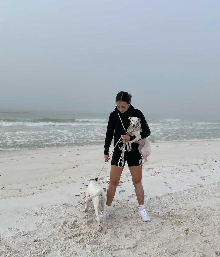 Hands-Free Dog Leash – Walk, Run & Go Anywhere