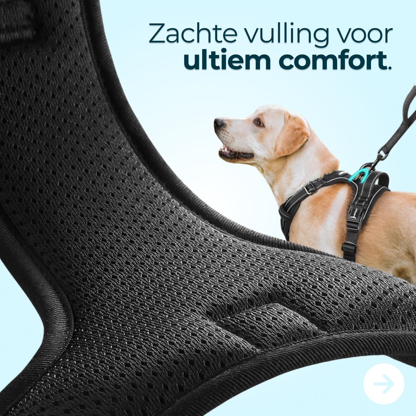 No-Pull Dog Harness – Comfort & Control on Every Walk