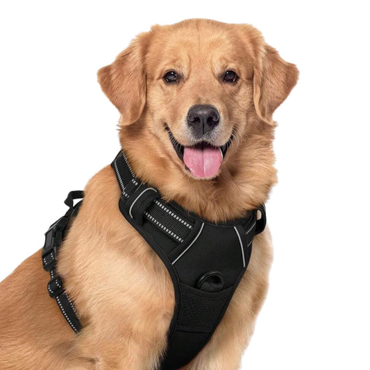 No-Pull Dog Harness – Comfort & Control on Every Walk