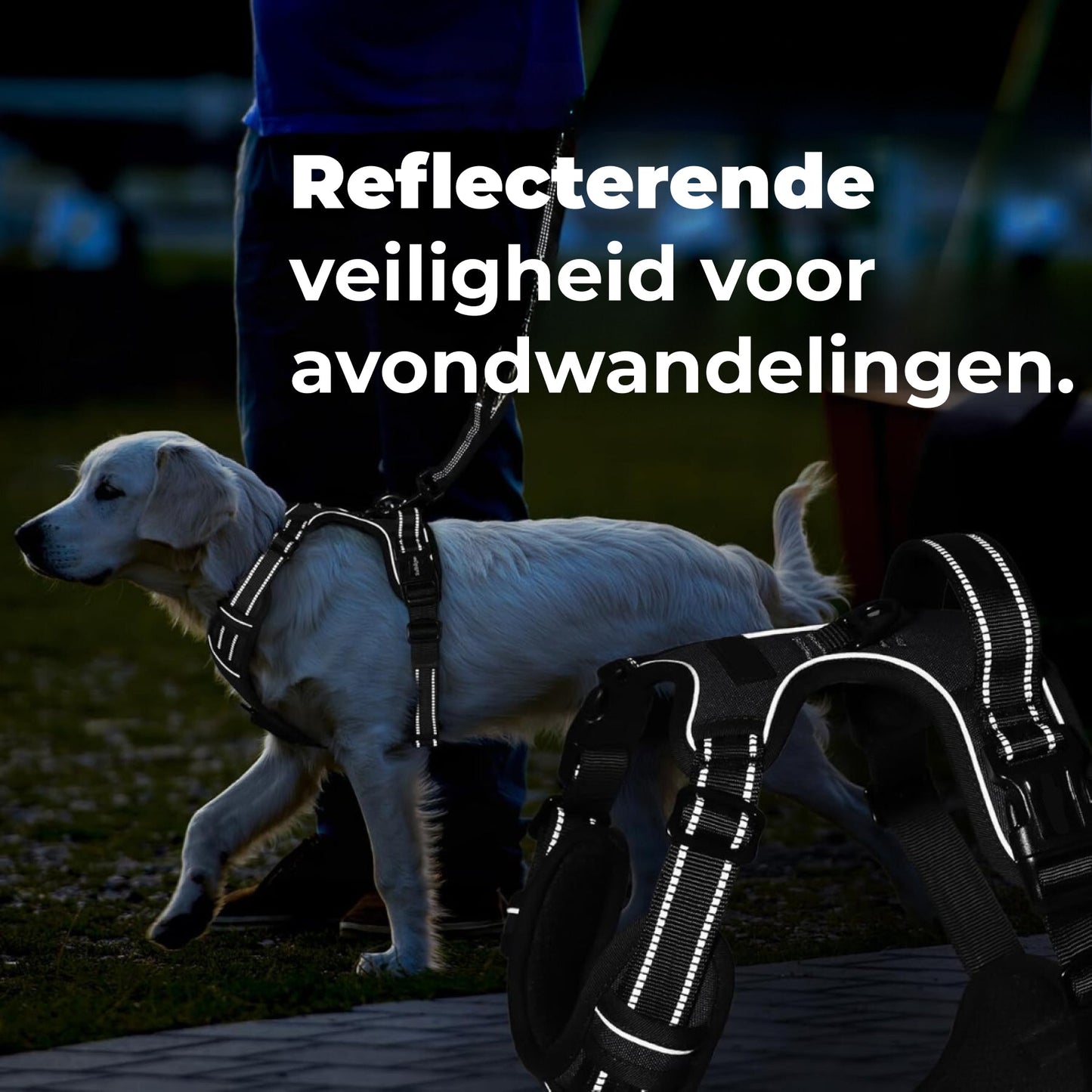 No-Pull Dog Harness – Comfort & Control on Every Walk