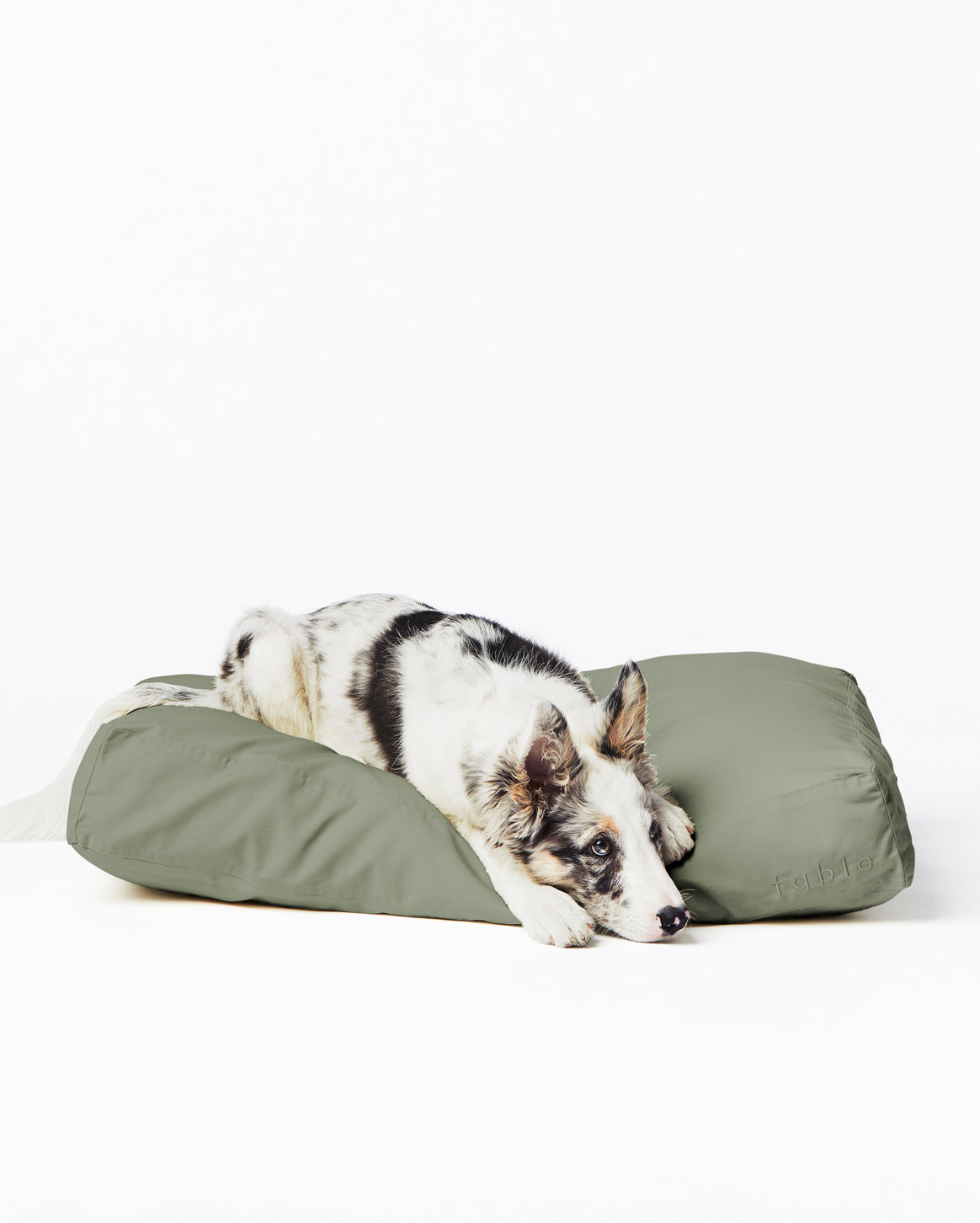 Replacement Dog Bed Cover – Washable & Water-Resistant