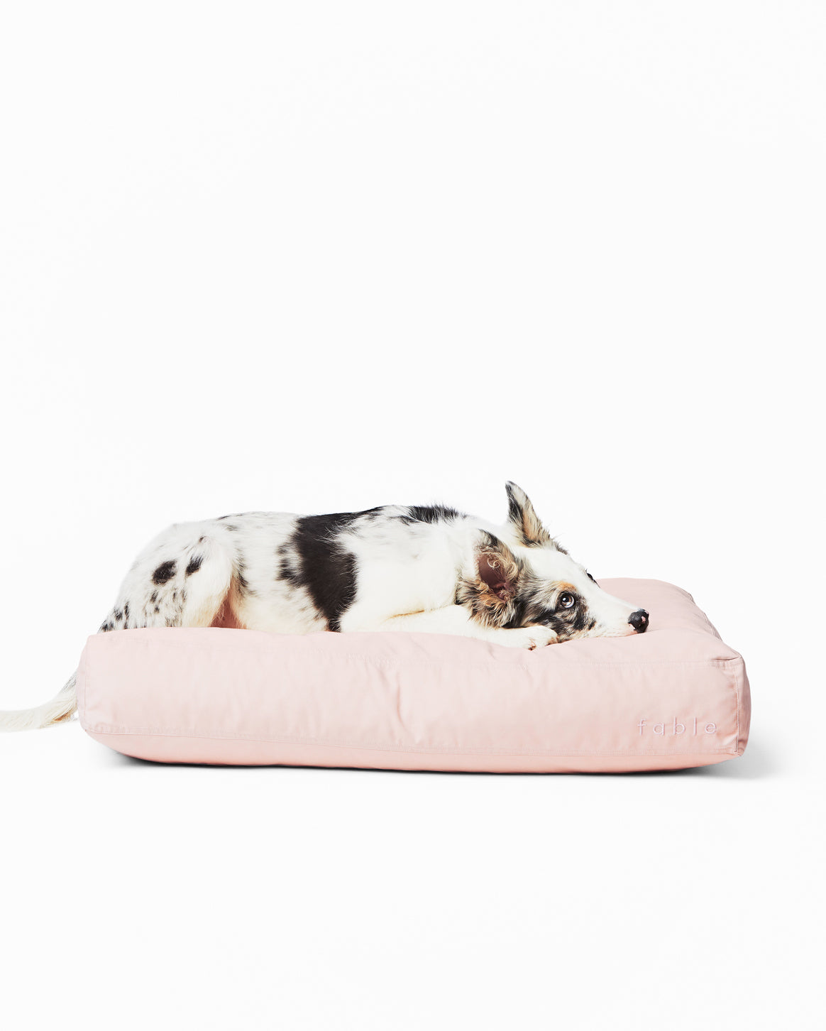 Replacement Dog Bed Cover – Washable & Water-Resistant