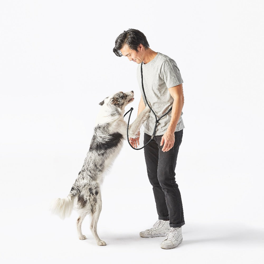 Hands-Free Dog Leash – Walk, Run & Go Anywhere