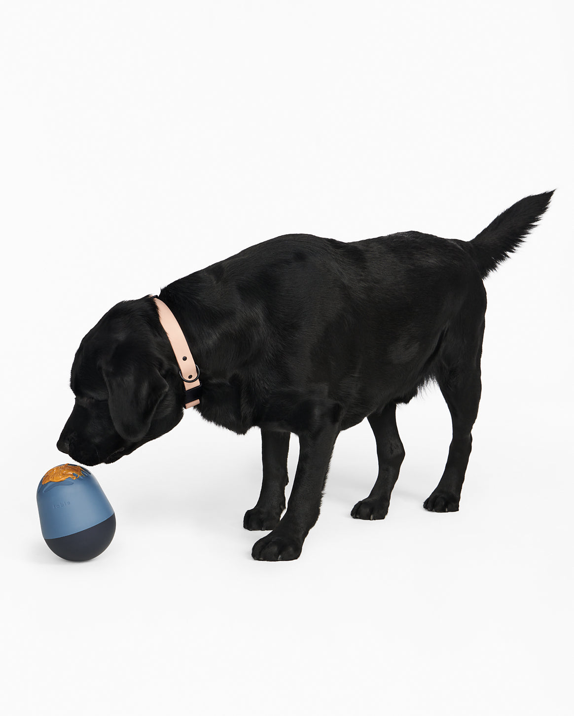 Interactive Dog Treat Puzzle Toy