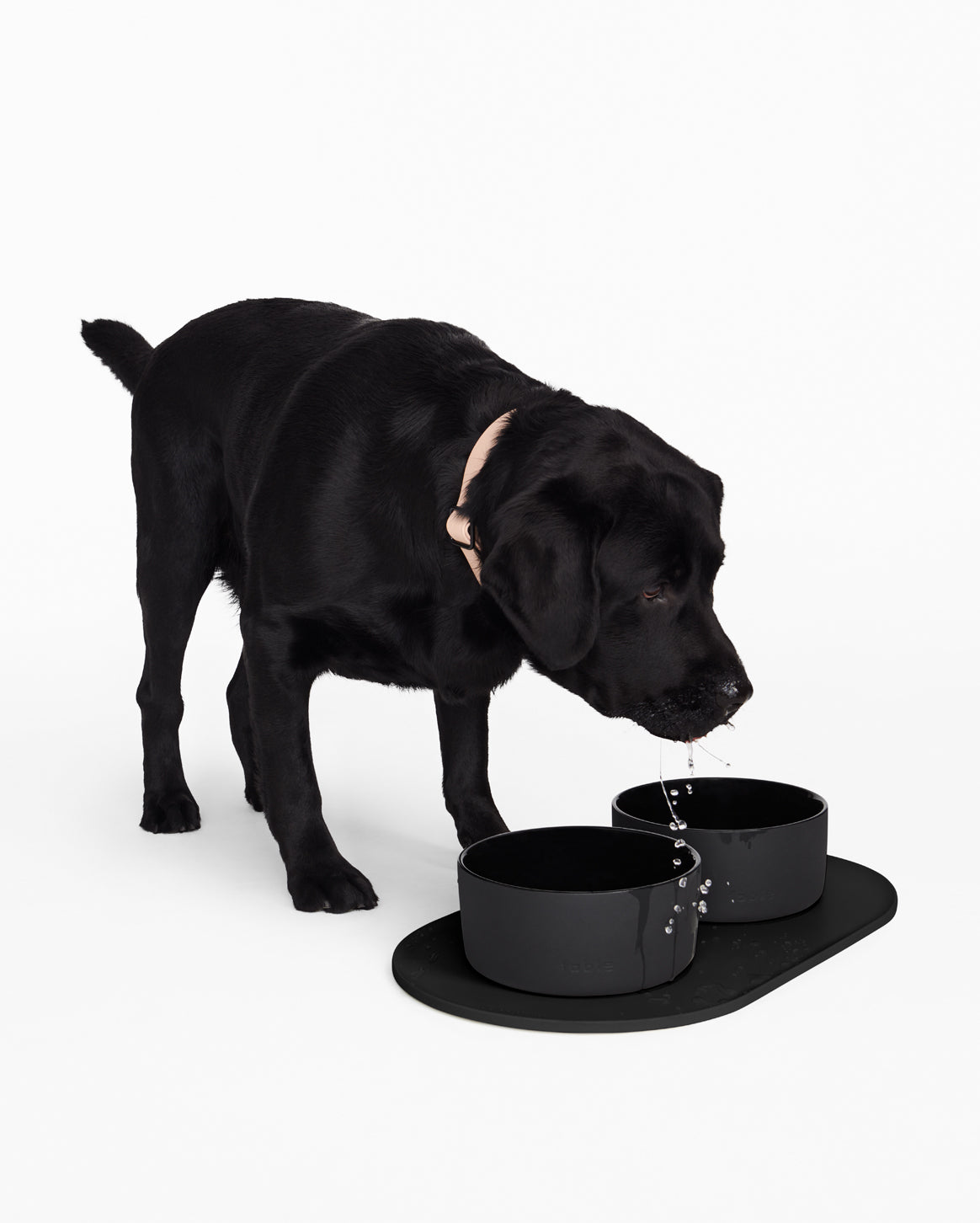 Non-Slip Silicone Dog Bowl Mat – Mess-Free Feeding