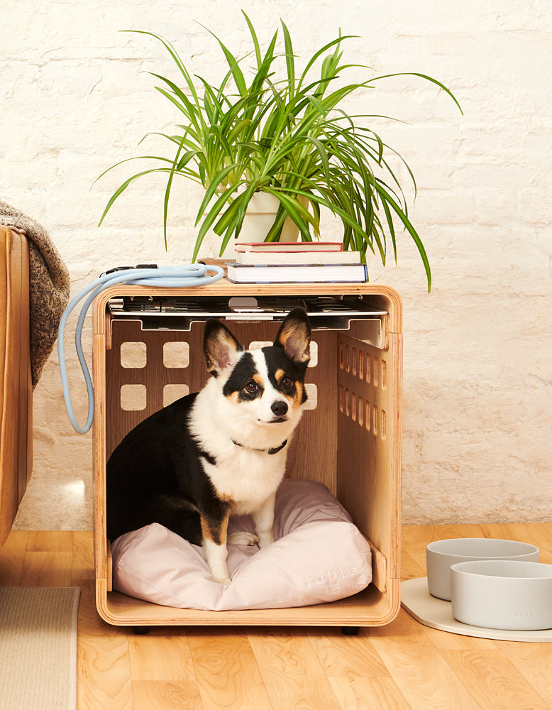 Premium Wooden Dog Crate