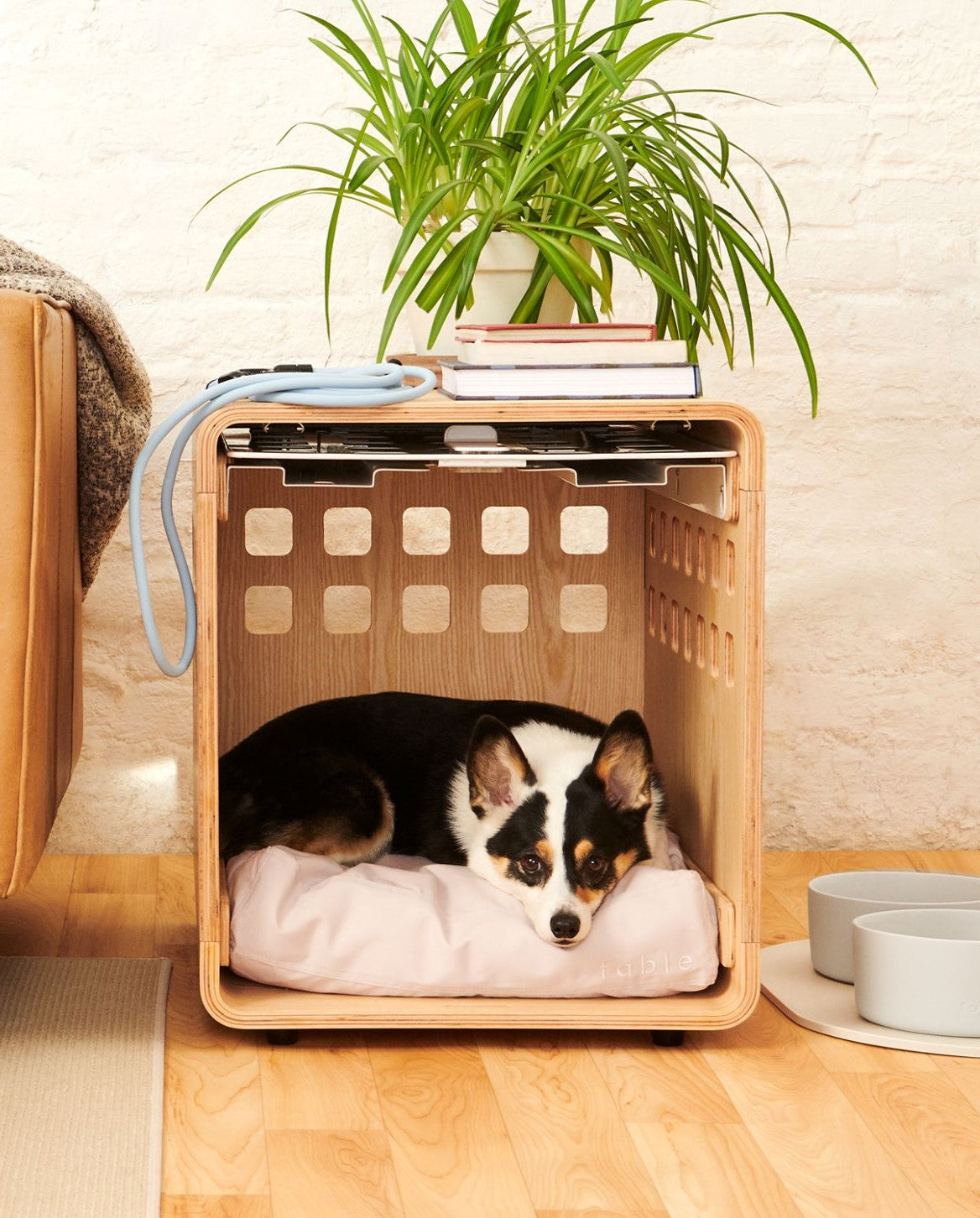 Premium Wooden Dog Crate