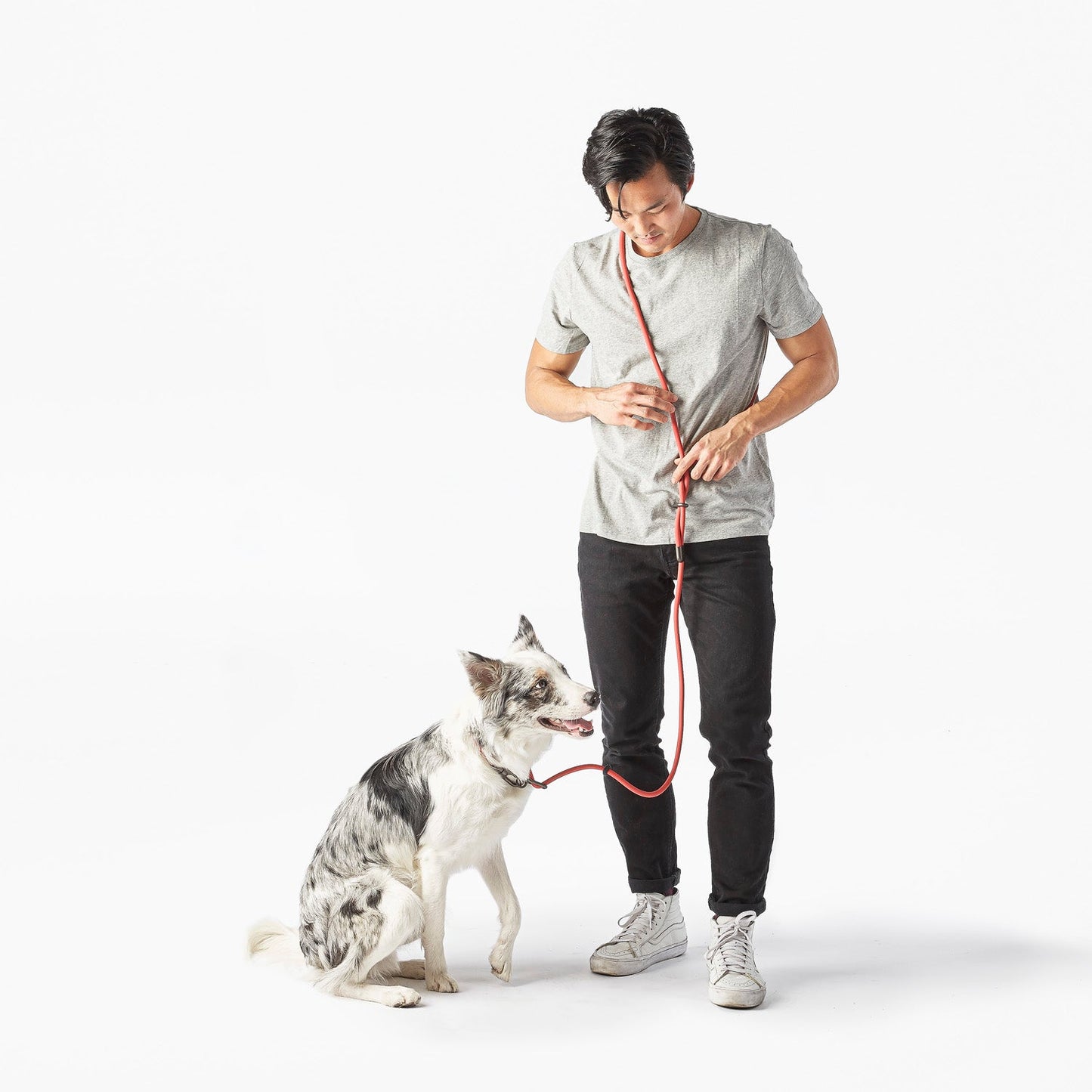 Hands-Free Dog Leash – Walk, Run & Go Anywhere