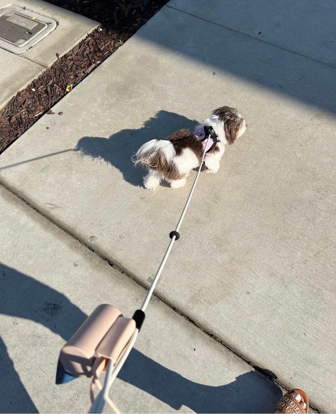 Dog Waste Bag Dispenser – Includes 3 Free Rolls
