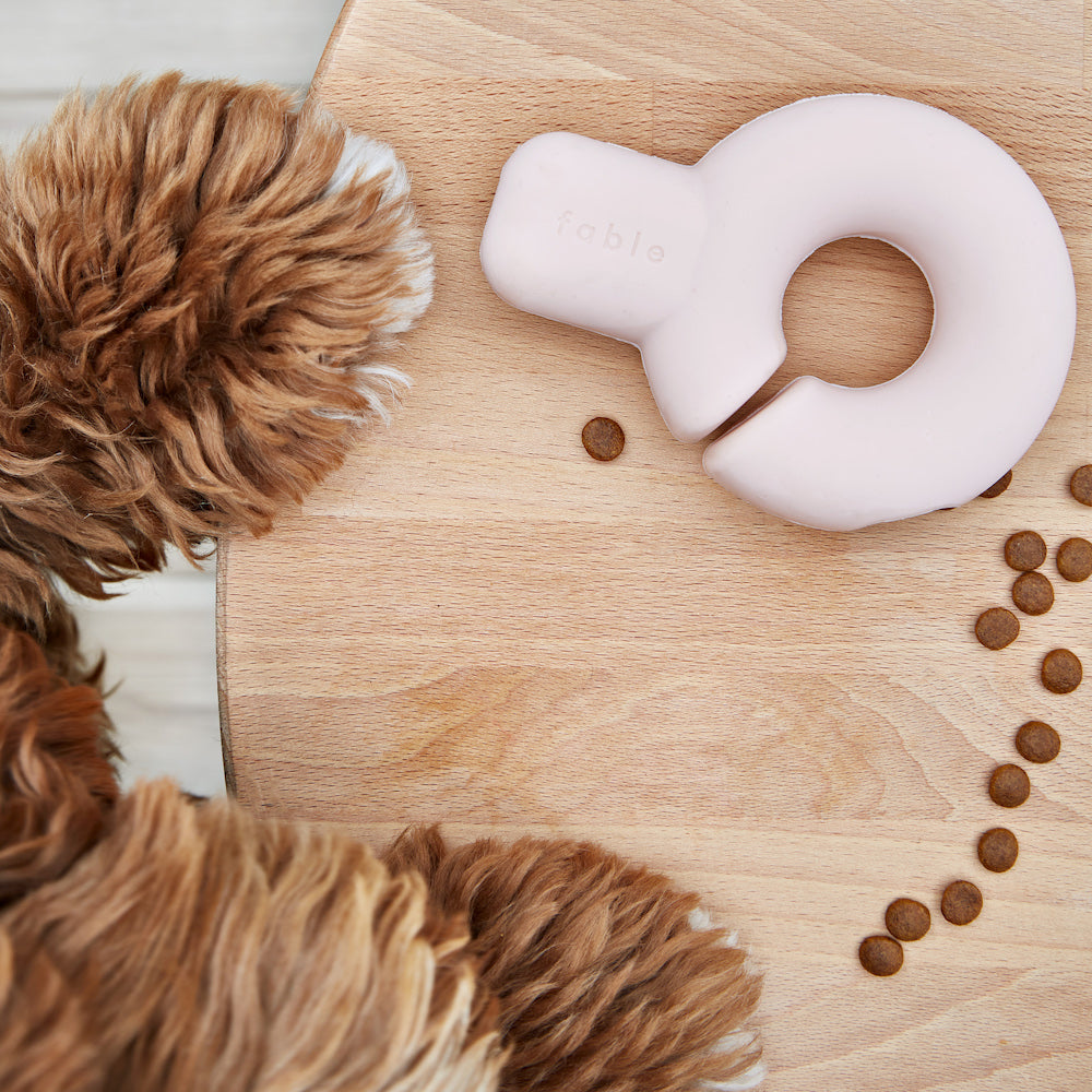 Interactive Treat Dispensing Dog Toy