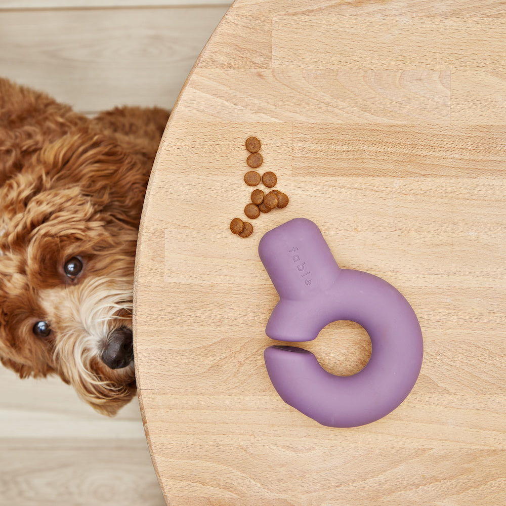 Interactive Treat Dispensing Dog Toy