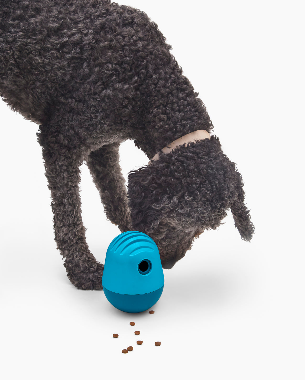 Interactive Dog Treat Puzzle Toy