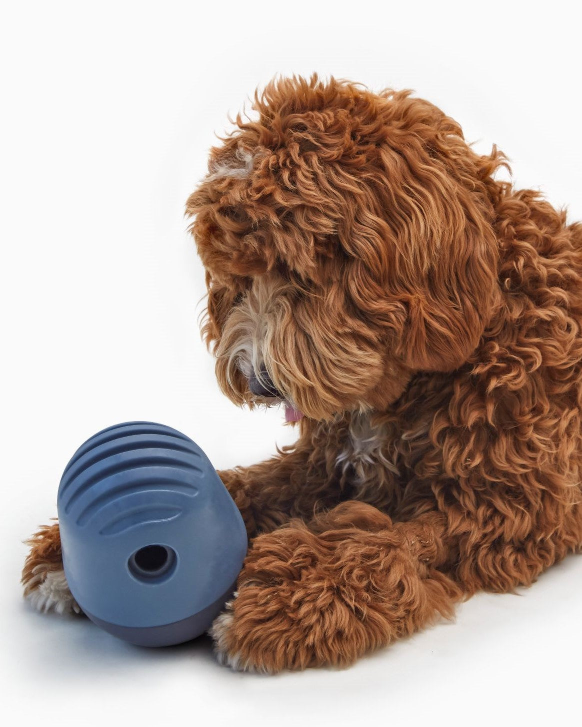 Interactive Dog Treat Puzzle Toy