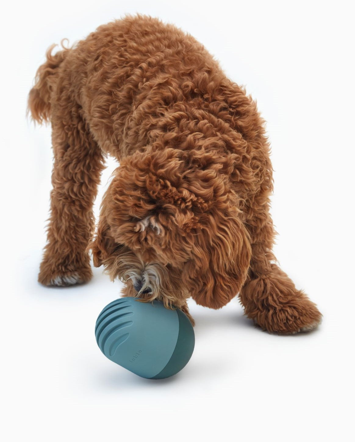 Interactive Dog Treat Puzzle Toy