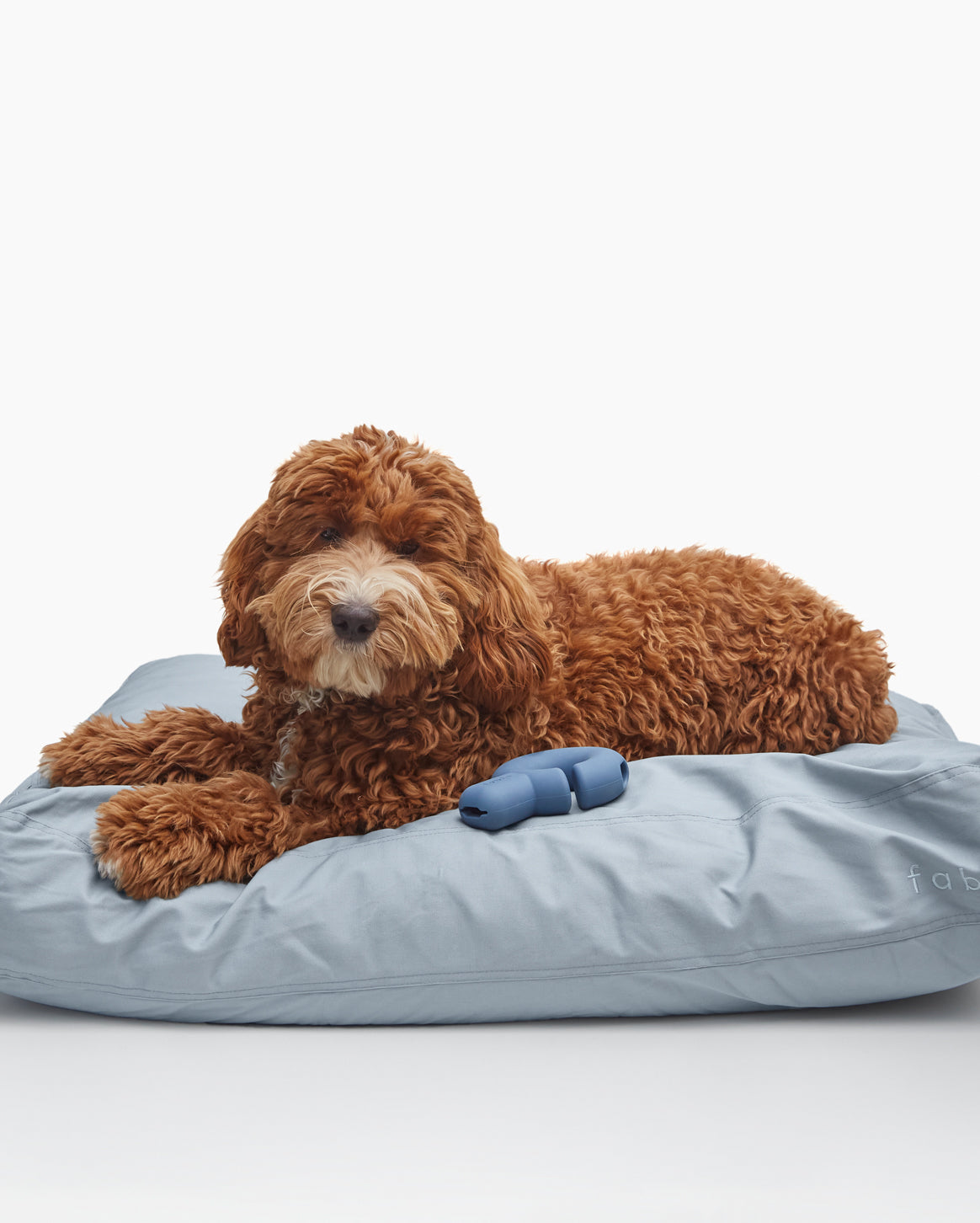 Memory Foam Dog Bed – Orthopedic Comfort