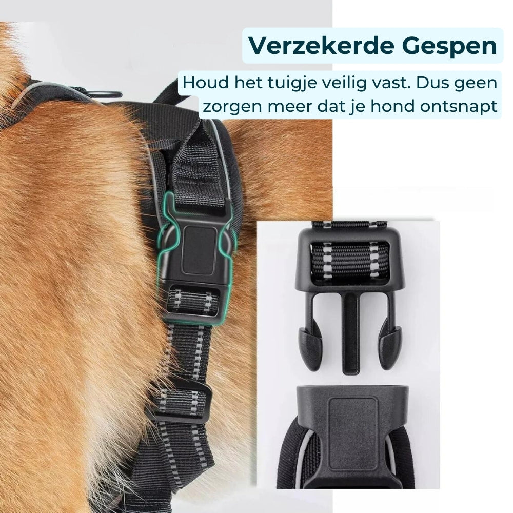 No-Pull Dog Harness – Comfort & Control on Every Walk