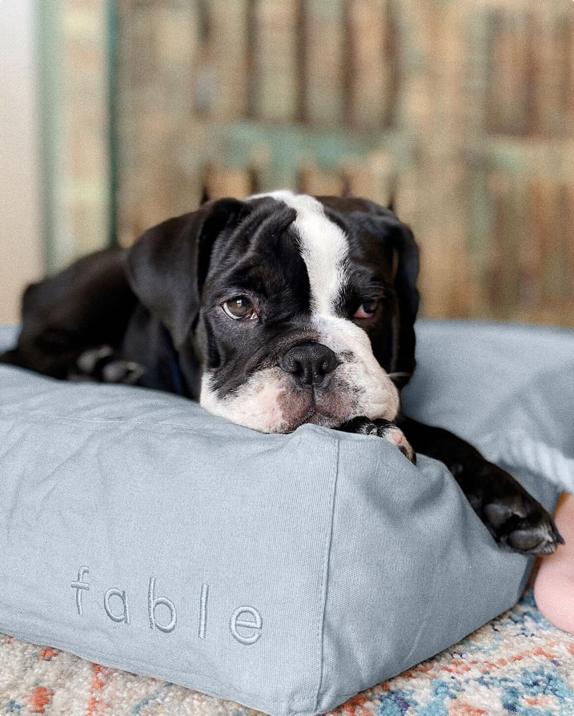 Replacement Dog Bed Cover – Washable & Water-Resistant