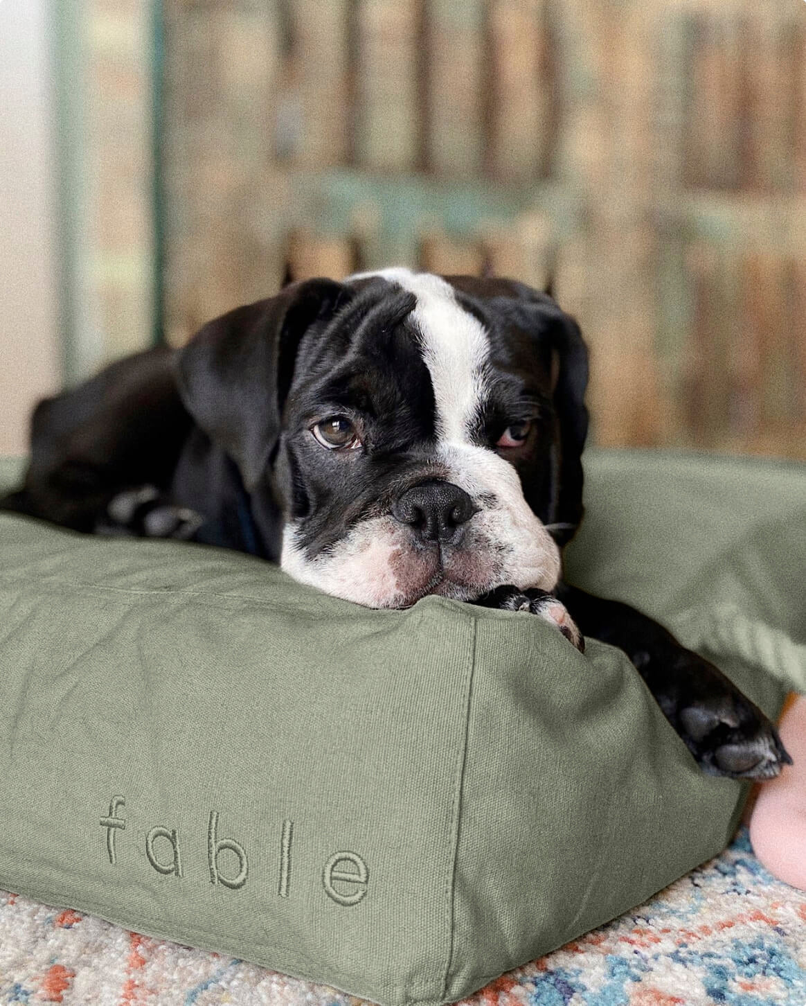 Replacement Dog Bed Cover – Washable & Water-Resistant
