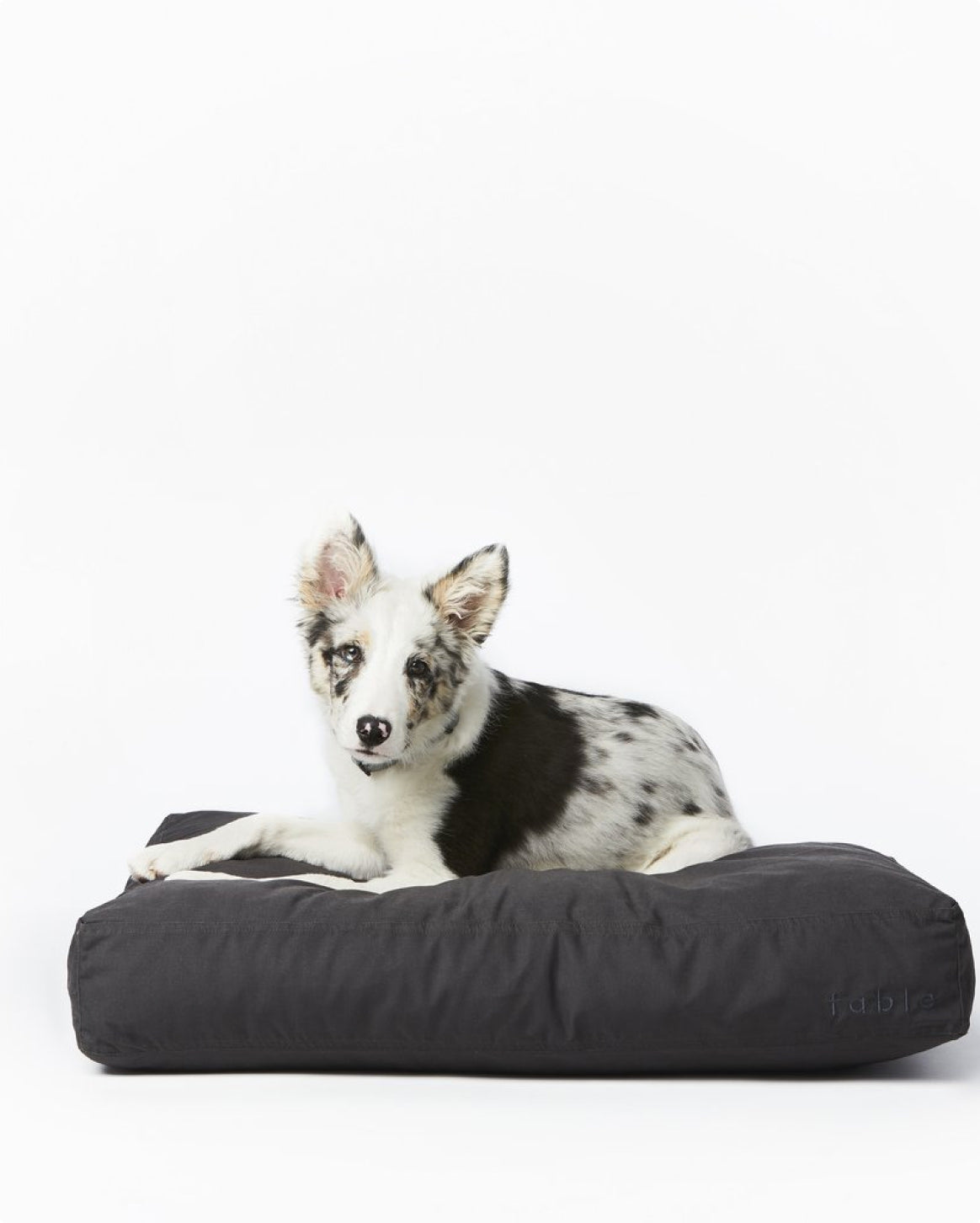 Replacement Dog Bed Cover – Washable & Water-Resistant