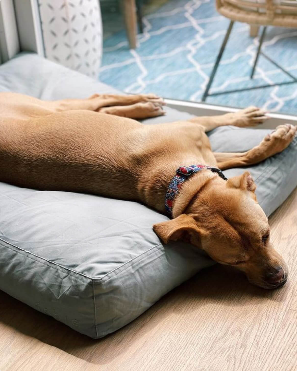 Memory Foam Dog Bed – Orthopedic Comfort