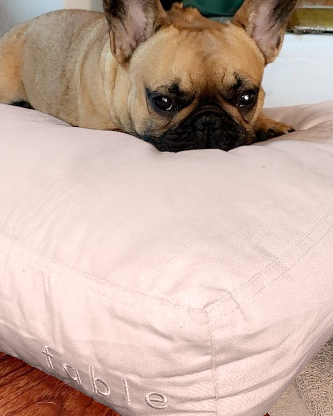 Memory Foam Dog Bed – Orthopedic Comfort