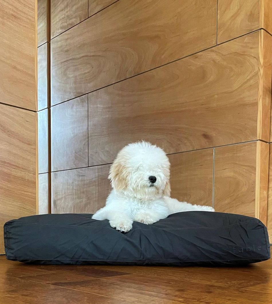 Memory Foam Dog Bed – Orthopedic Comfort