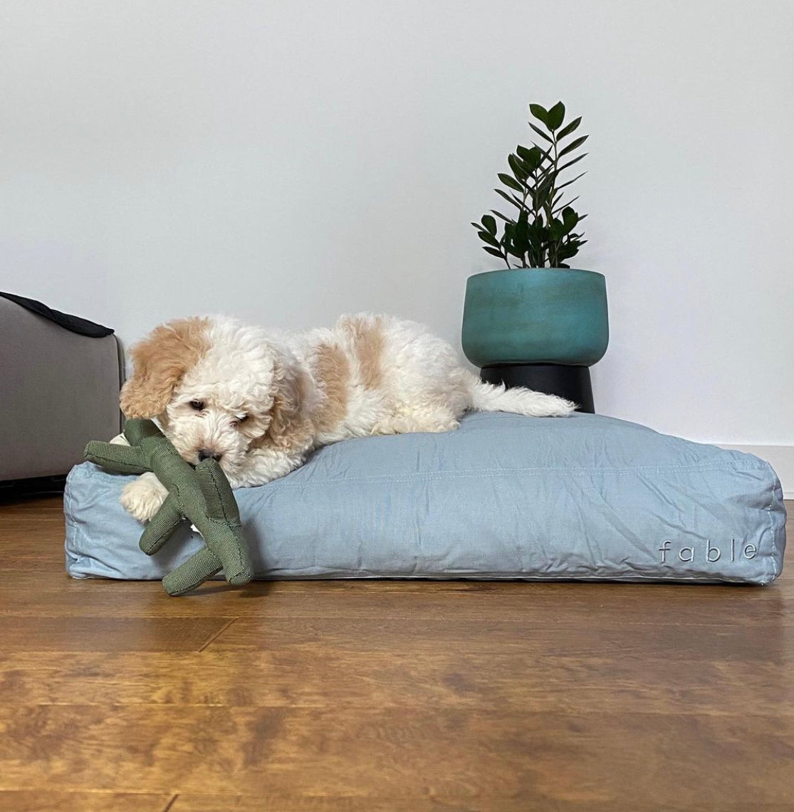 Memory Foam Dog Bed – Orthopedic Comfort