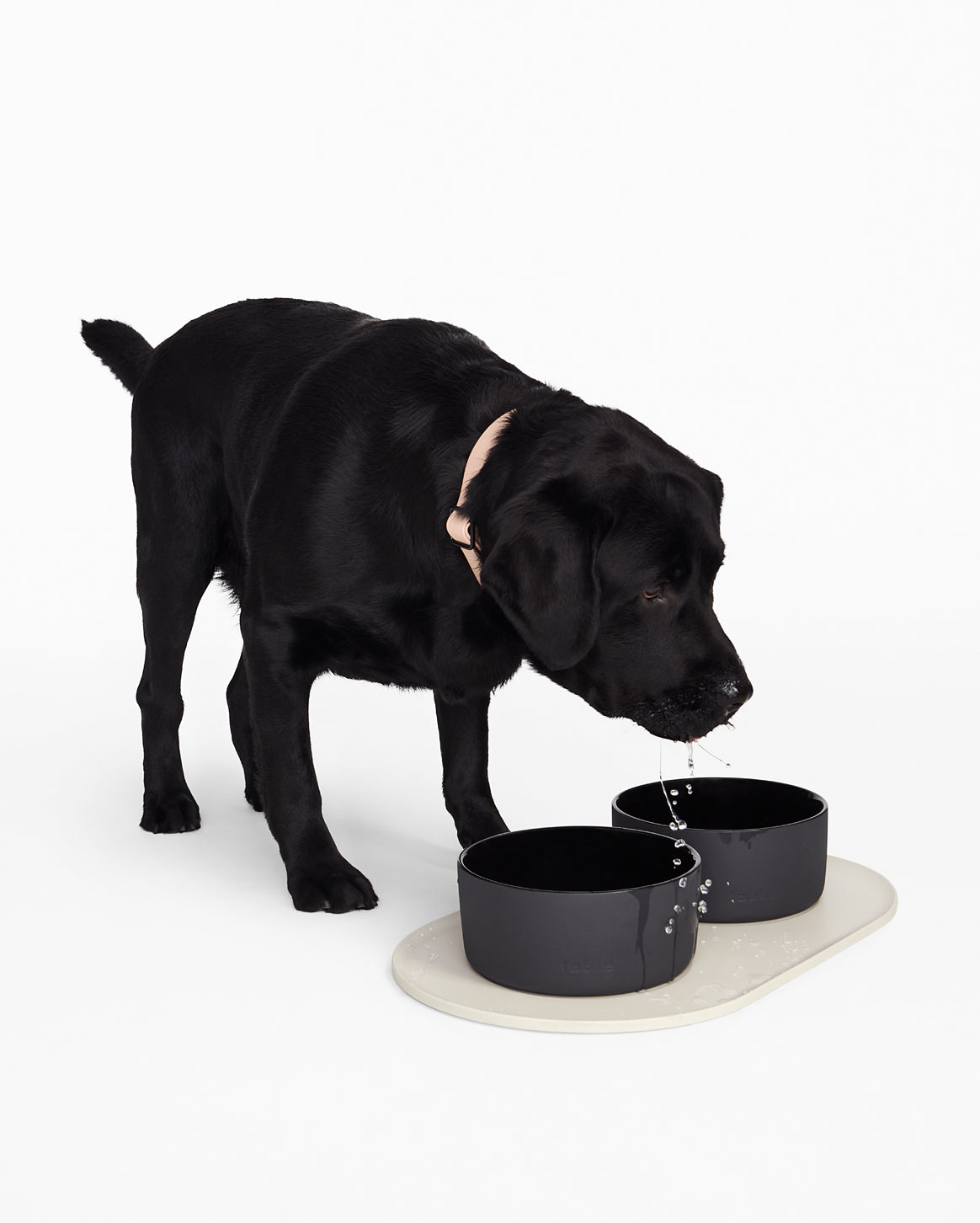 Non-Slip Silicone Dog Bowl Mat – Mess-Free Feeding