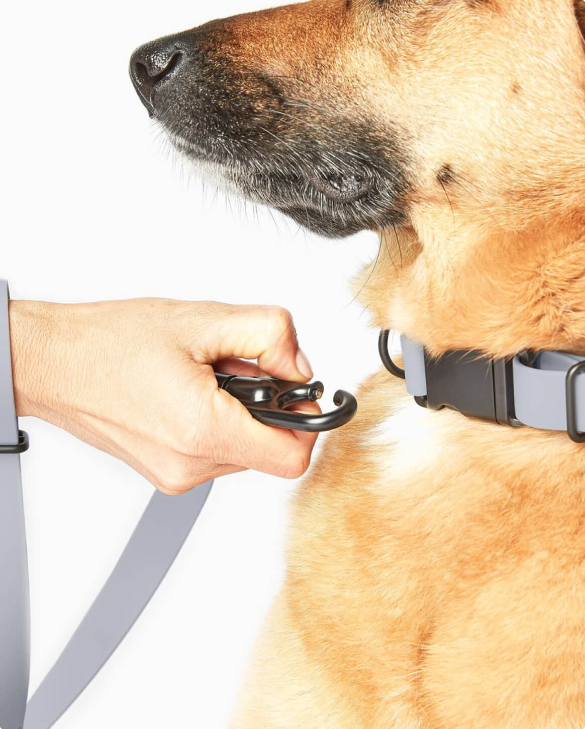 Premium Dog Collar – Lightweight & Durable