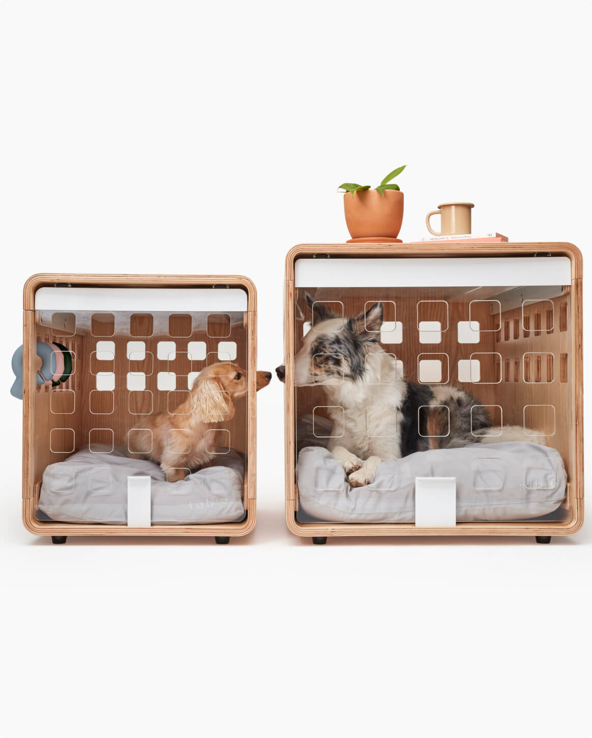 Premium Wooden Dog Crate