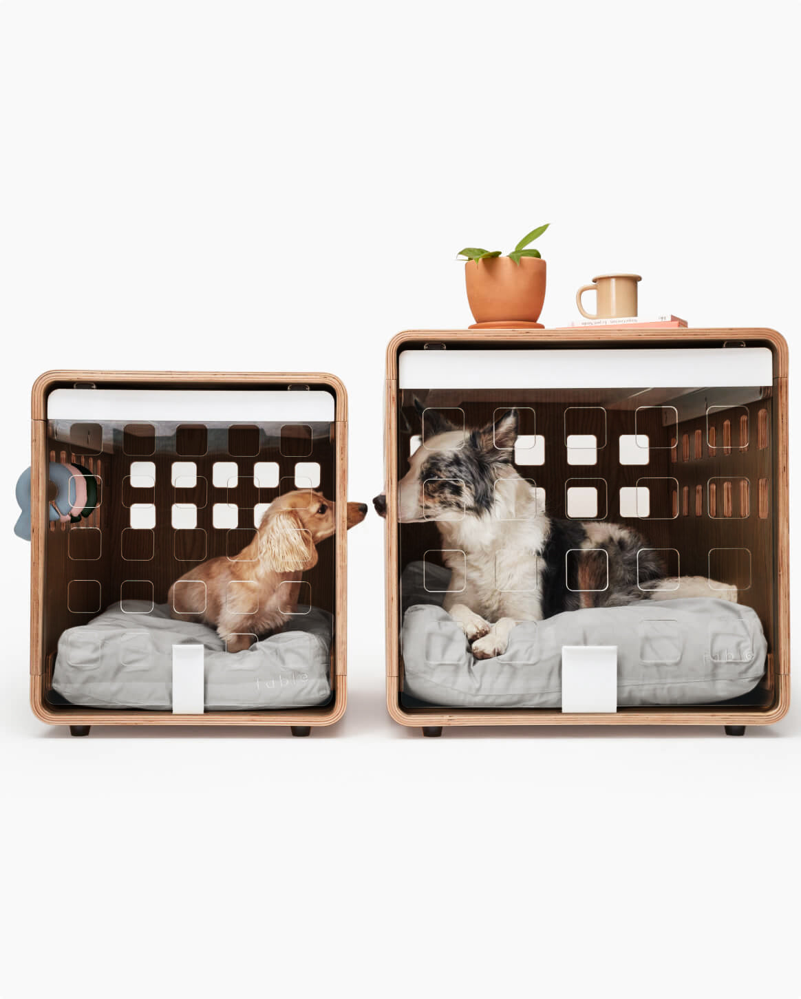 Premium Wooden Dog Crate