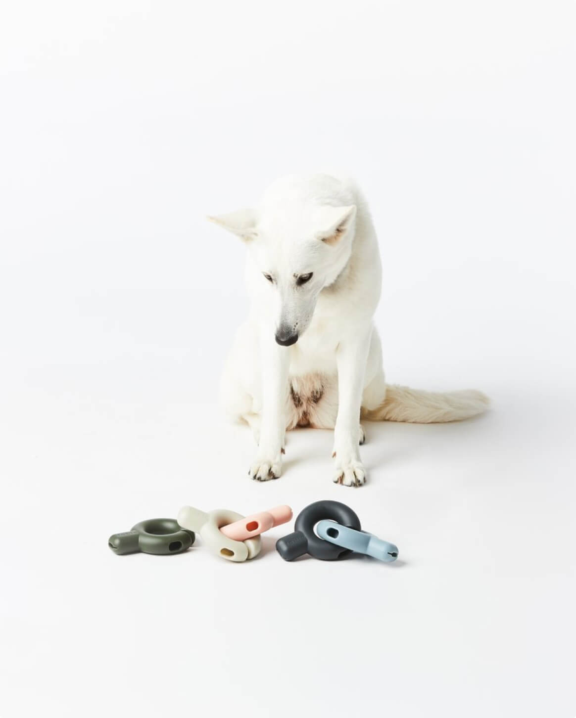 Interactive Treat Dispensing Dog Toy