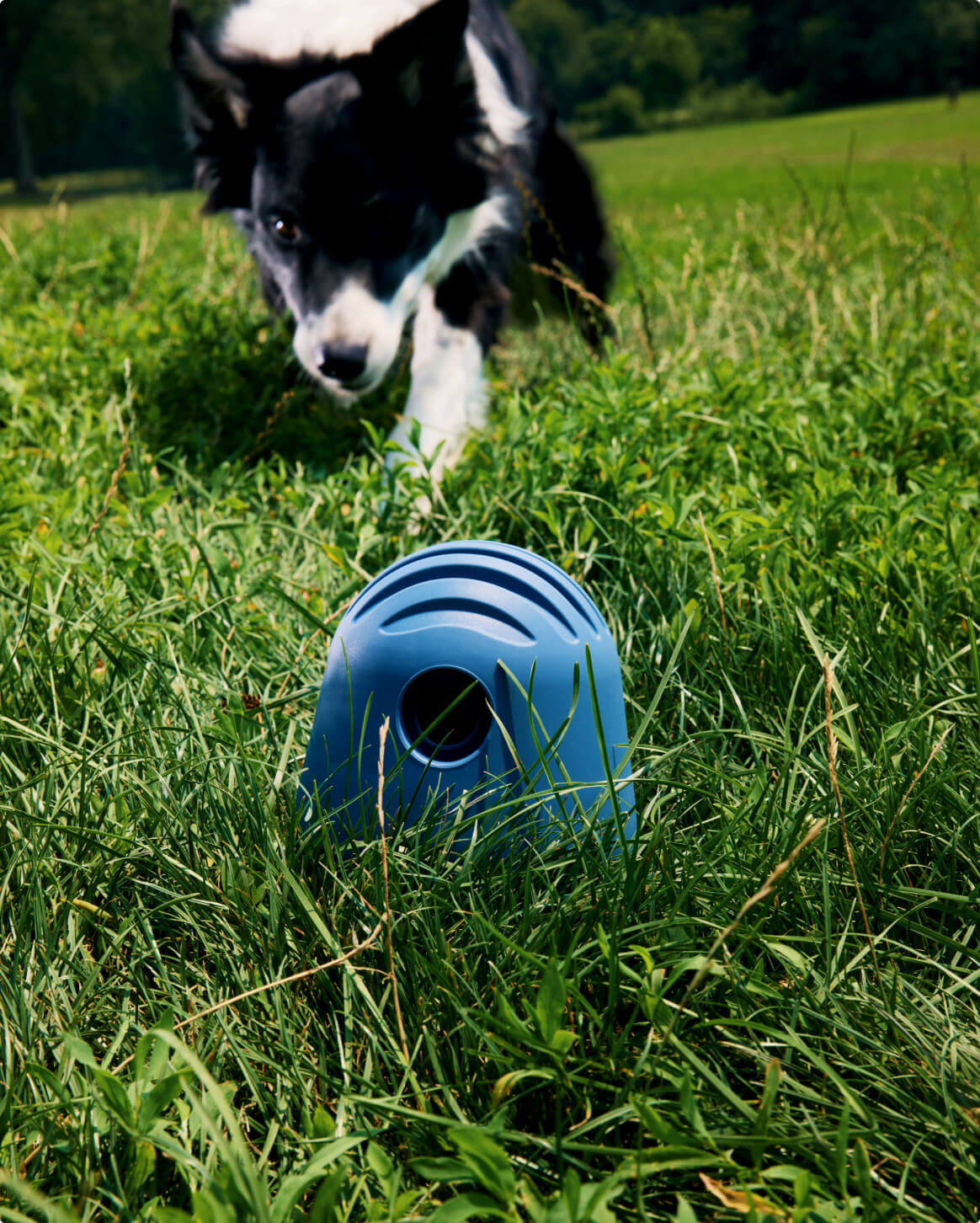 Interactive Dog Treat Puzzle Toy