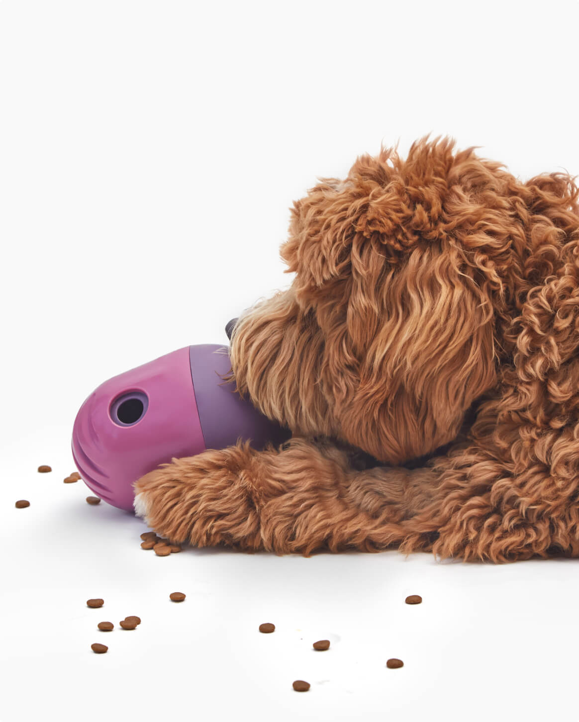 Interactive Dog Treat Puzzle Toy