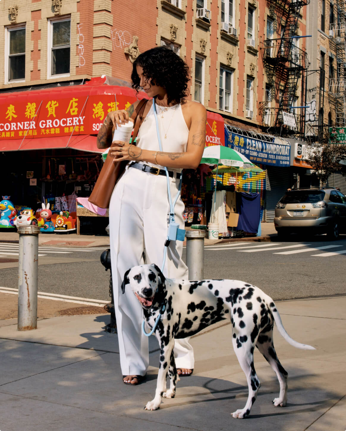 Hands-Free Dog Leash – Walk, Run & Go Anywhere