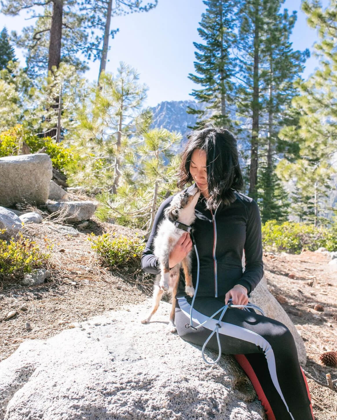 Hands-Free Dog Leash – Walk, Run & Go Anywhere