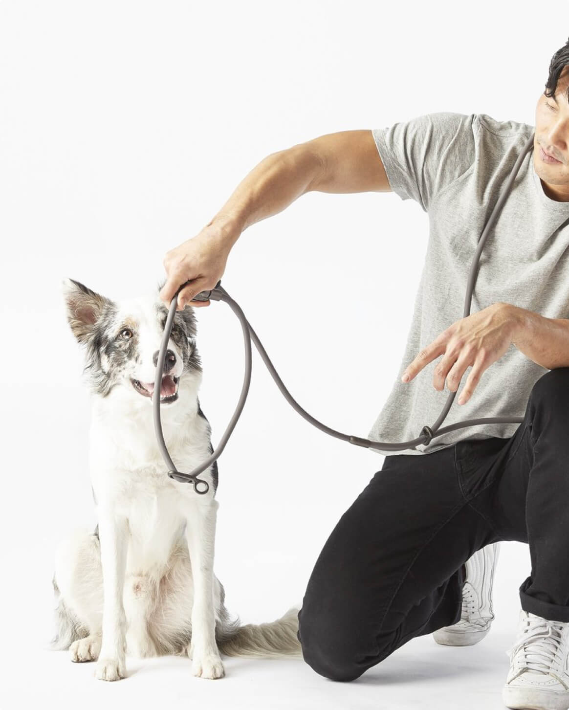 Hands-Free Dog Leash – Walk, Run & Go Anywhere