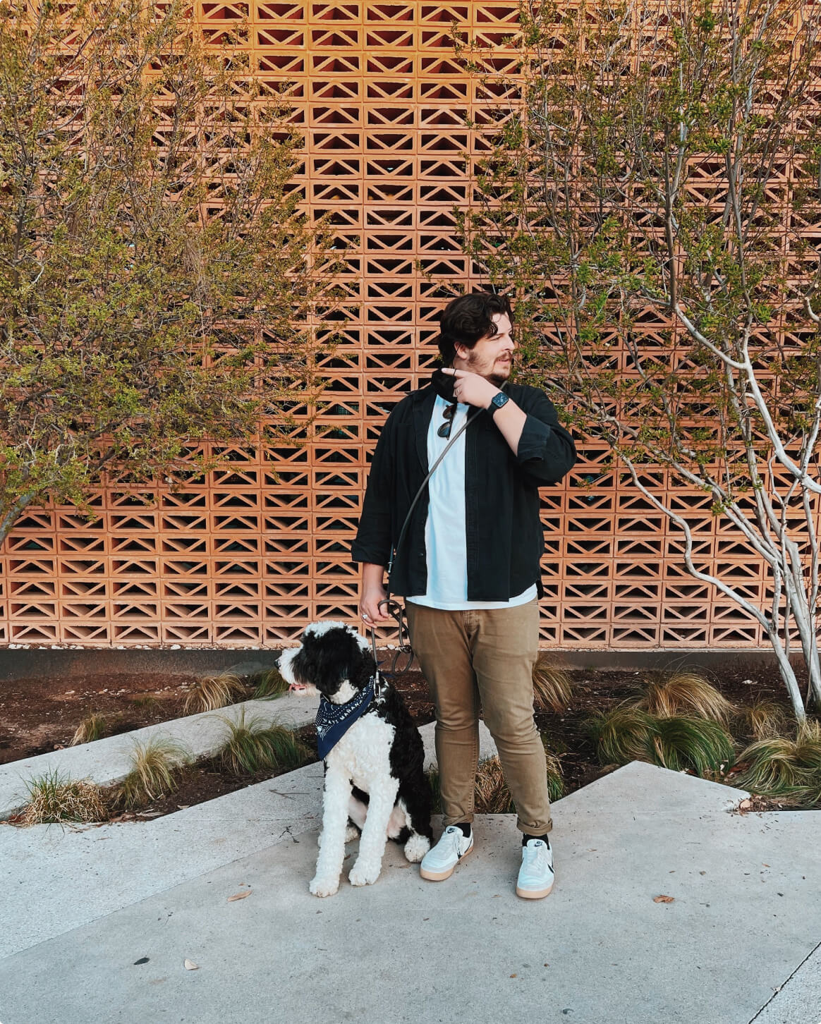 Hands-Free Dog Leash – Walk, Run & Go Anywhere