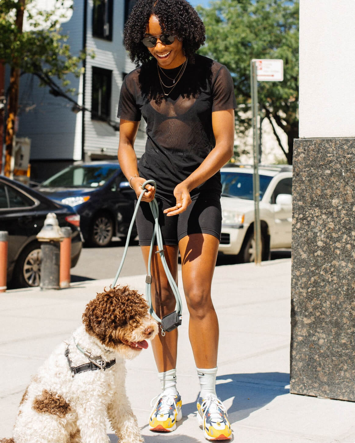 Hands-Free Dog Leash – Walk, Run & Go Anywhere