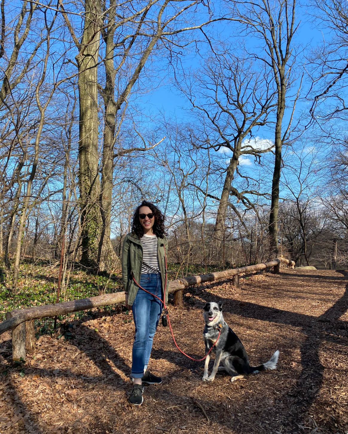 Hands-Free Dog Leash – Walk, Run & Go Anywhere