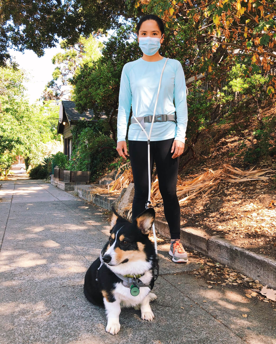 Hands-Free Dog Leash – Walk, Run & Go Anywhere
