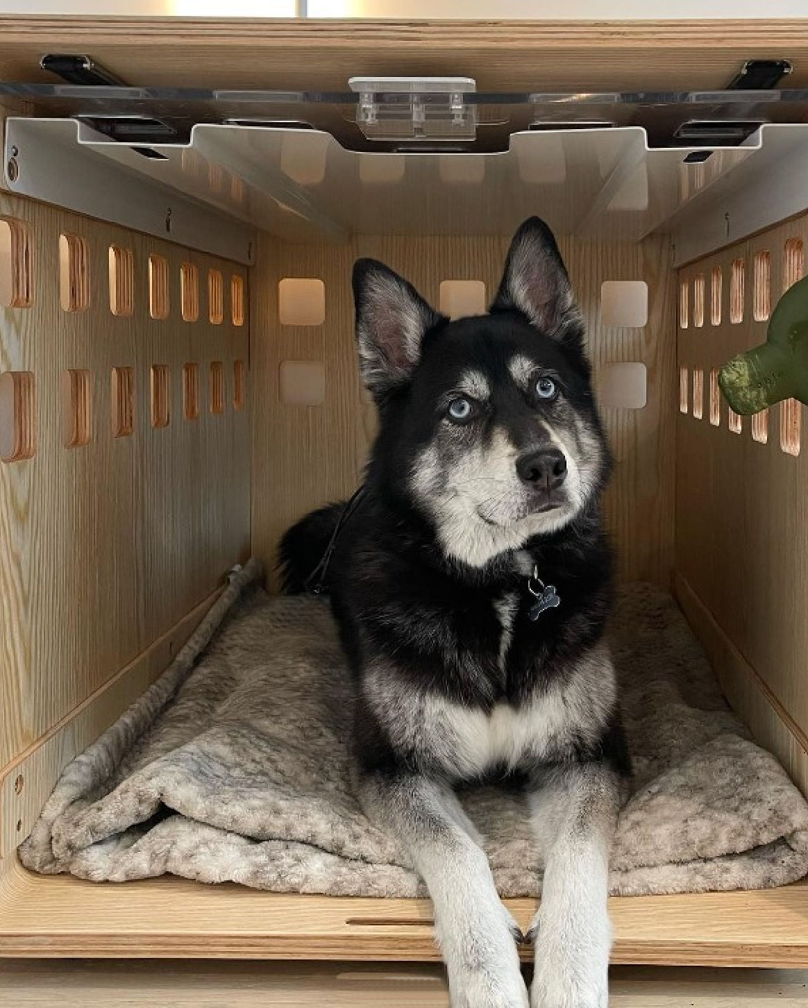 Premium Wooden Dog Crate