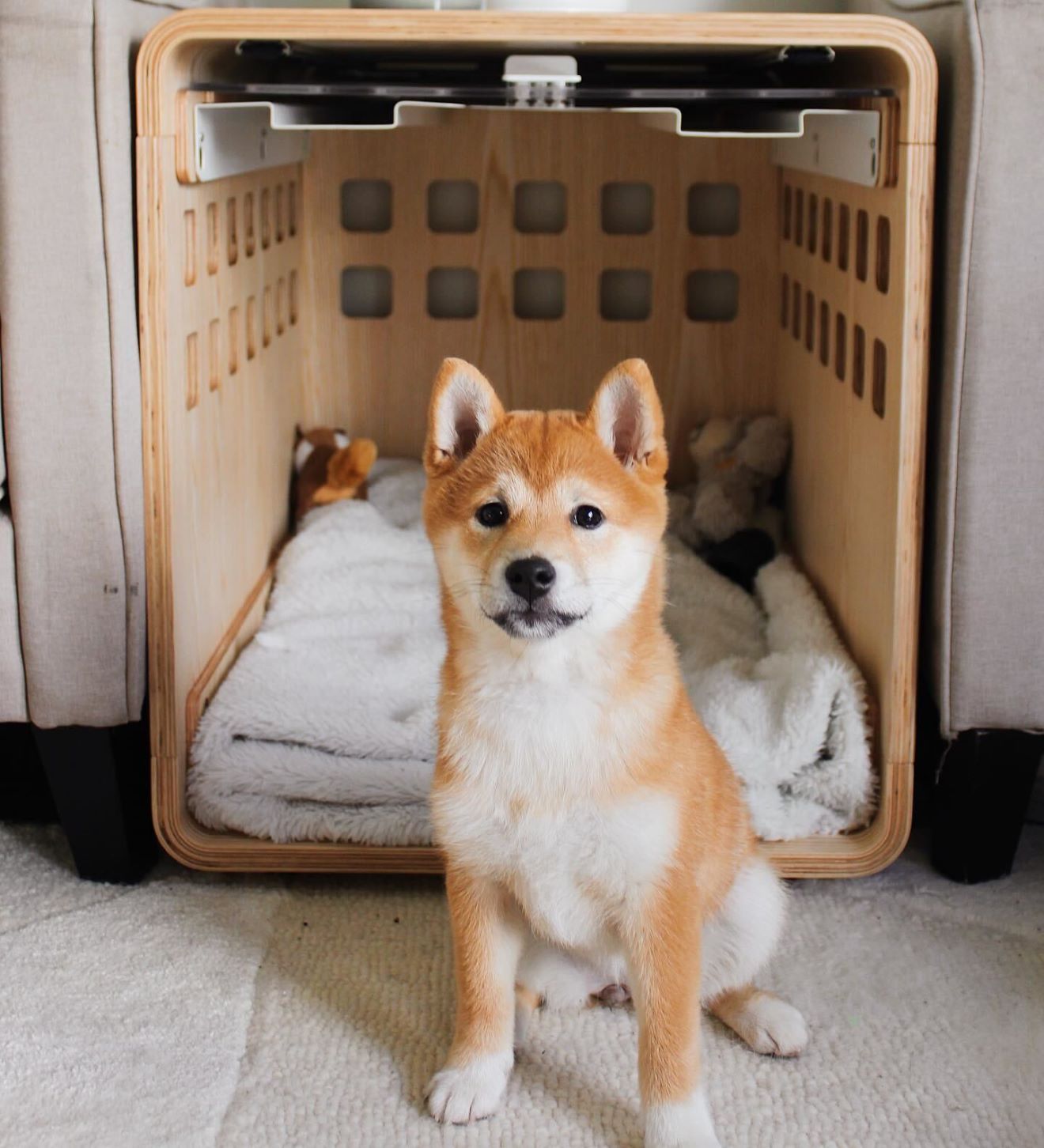 Premium Wooden Dog Crate